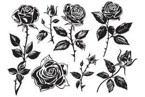 Set of decorative rose with leaves. Flower silhoutte vector