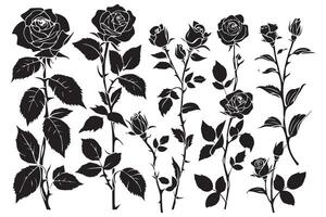 Rosa flor negro siluetas aislado en un blanco fondo, conjunto de decorativo rosas con hojas clipart vector
