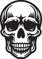 Human Skull with Teeth illustration. vector