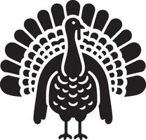 Thanksgiving Turkey front view illustration. vector