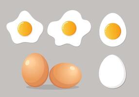Fried egg illustration sets vector