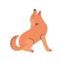 clamoroso coyote icono clipart avatar logotipo aislado ilustración vector