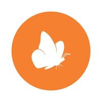 butterfly logo template vector