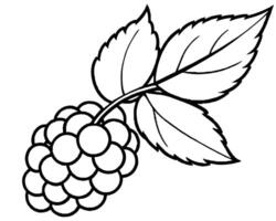 Bunch of grapes vector