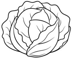 Black and White Cartoon Illustration of Cabbage vector