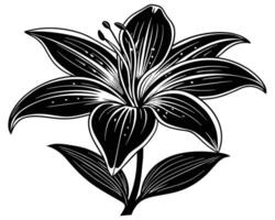 Lily of the valley outline vector