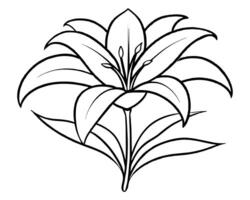 Lily of the valley outline vector