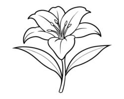 Lily of the valley outline vector