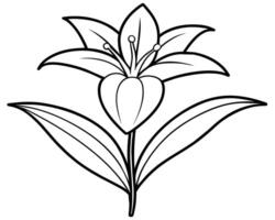 Lily of the valley outline vector