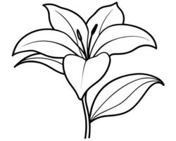 Lily of the valley outline vector