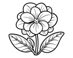 Lily of the valley outline vector