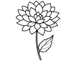 Lily of the valley outline vector