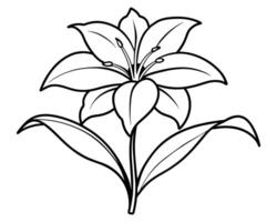 Lily of the valley outline vector
