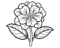 Lily of the valley outline vector