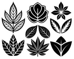 Leaf icon black illustration design vector