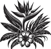 tropical flower, black color silhouette, black color silhouette vector