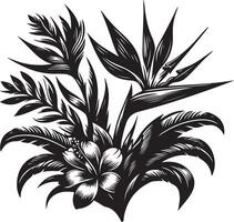 tropical flower, black color silhouette, black color silhouette vector