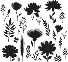 Black brush flower silhouettes. Spring flowers , black color silhouette vector