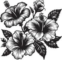 Hibiscus flowers drawing and sketch with line art, black color silhouette vector