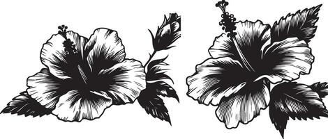 hibisco flores dibujo y bosquejo con línea arte, negro color silueta vector