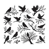 birds on branches silhouette set vector