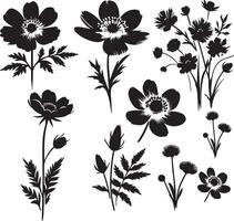 Black brush flower silhouettes. Spring flowers , black color silhouette vector