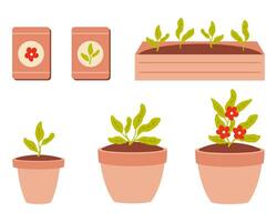 Hand drawn sowing and growth of flower seedlings clipart collection. Taking care of plants concept. illustration isolated on white background. vector