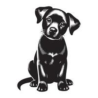 Adorable curious dog sitting, black color silhouette vector