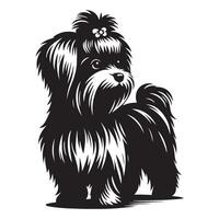 maltés perro , negro color silueta vector