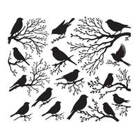 birds on branches silhouette set vector