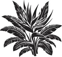 tropical flor, negro color silueta, negro color silueta vector