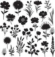 Black brush flower silhouettes. Spring flowers , black color silhouette vector