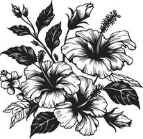 Hibiscus flowers drawing and sketch with line art, black color silhouette vector