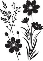 Black brush flower silhouettes. Spring flowers , black color silhouette vector