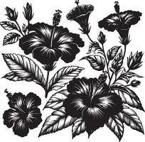 hibisco flores dibujo y bosquejo con línea arte, negro color silueta vector