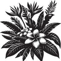 tropical flower, black color silhouette, black color silhouette vector