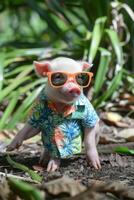 adorable cerdo en elegante naranja Gafas de sol y vistoso hawaiano camisa para un divertido y de moda Mira foto