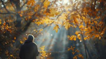 luz de sol filtros mediante el hojas fundición un calentar resplandor en el hombre como él practicas bosque foto