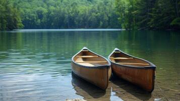 un pacífico lago con canoas atracado en el apuntalar atractivo hombres a tomar parte en un calmante naturaleza excursión a un curación retirada foto