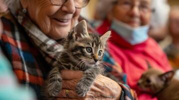 un Jubilación comunidad residente sostiene un pequeño gatito en su regazo rodeado por varios mayor individuos jugando con otro gatos y perros trajo en desde un local abrigo foto