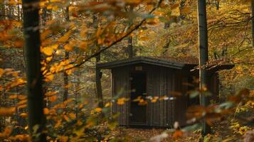 A shot of a sauna in the middle of a serene forest setting with the sound of chirping birds and rustling leaves adding to the peaceful ambiance. photo