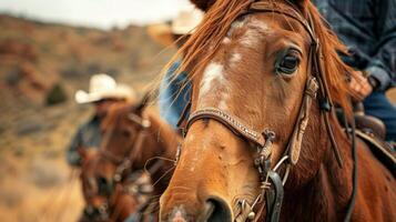 A pesar de el retos el vaqueros y vaqueras son determinado a hacer eso a su destino emprendedor sí mismos y su caballos adelante foto