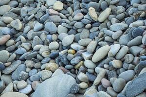 Texture of sardinia beach stones photo