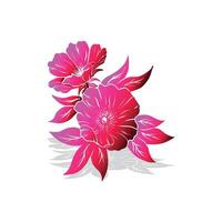 A pink flower with a white background vector