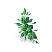 A green leafy plant with a stem and leaves vector