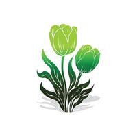 dos verde tulipanes son en un florero vector