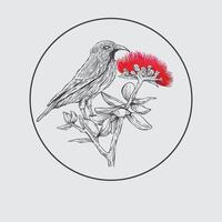 hand drawn lehua bird and flower sketch in engraving style vector