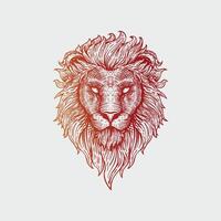 lion drawn in vintage engraving style vector