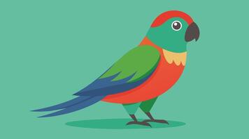 Boukers Parrot Stunning Illustration for Your Designs vector