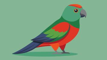 Boukers Parrot Stunning Illustration for Your Designs vector